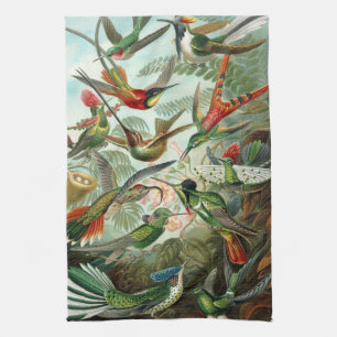Kolibris von Ernst Haeckel, Vintage Vögel Bäume Geschirrtuch