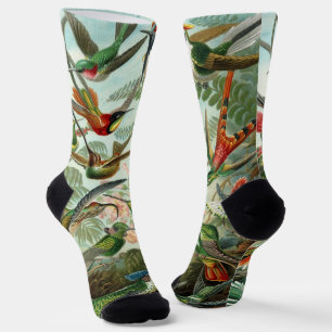 Kolibris von Ernst Haeckel, Vintage Vögel Bäume Socken