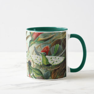 Kolibris von Ernst Haeckel, Vintage Vögel Bäume Tasse