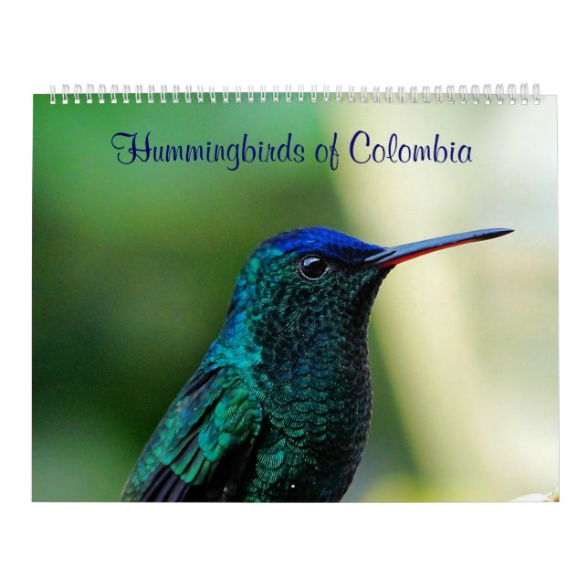 Kolibris von Kolumbien Kalender (Titelbild)