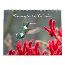 Kolibris von Kolumbien Kalender