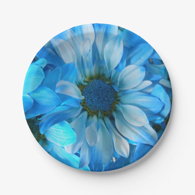 Kollage Pappteller (Vorderseite)