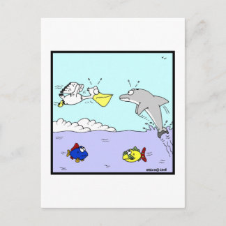Kollision: Dolphin- und Pelikanischer Cartoon Postkarte