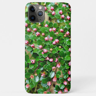 Kölner Horizontalis Case-Mate iPhone Hülle