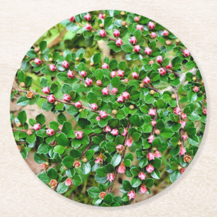 Kölner Horizontalis Runder Pappuntersetzer