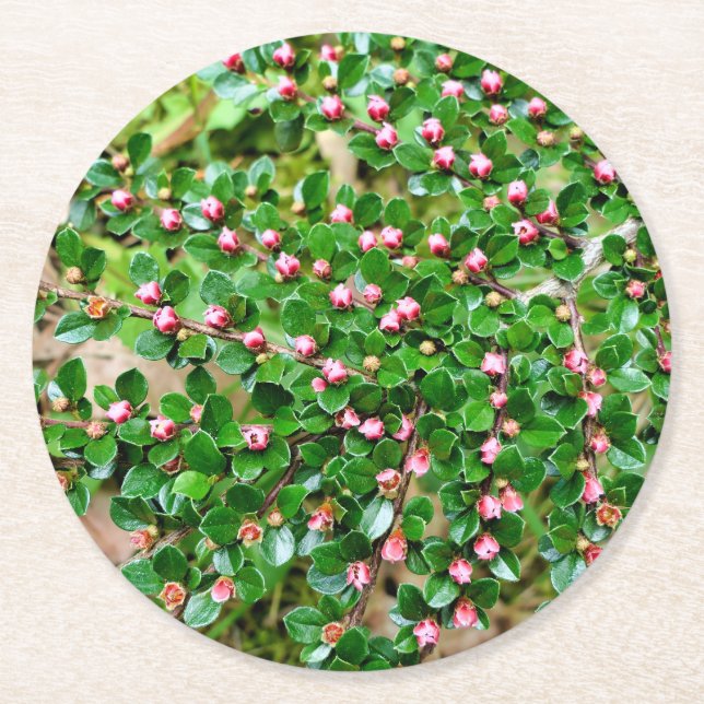 Kölner Horizontalis Runder Pappuntersetzer (Vorderseite)