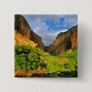 Kolob Canyon im Zion Canyon im Zion National Button