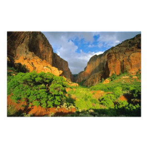 Kolob Canyon im Zion Canyon im Zion National Fotodruck