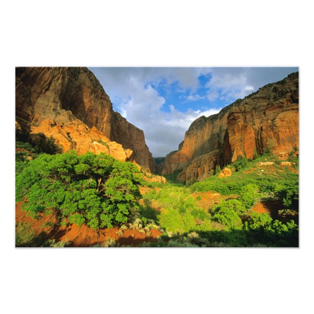 Kolob Canyon im Zion Canyon im Zion National Fotodruck (Vorne)