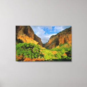 Kolob Canyon im Zion Canyon im Zion National Leinwanddruck