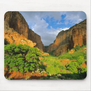 Kolob Canyon im Zion Canyon im Zion National Mousepad