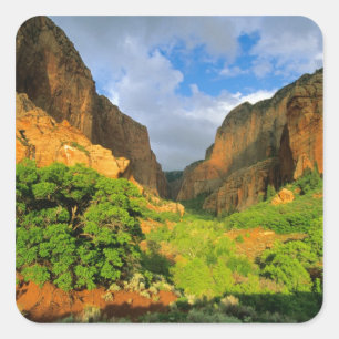 Kolob Canyon im Zion Canyon im Zion National Quadratischer Aufkleber