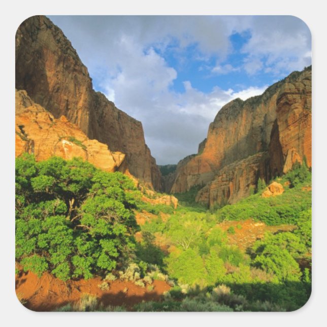 Kolob Canyon im Zion Canyon im Zion National Quadratischer Aufkleber (Vorderseite)