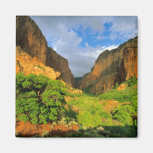 Kolob Canyon in Zion Canyon, Zion National Magnet