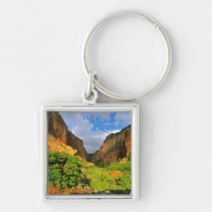 Kolob Canyon in Zion Canyon, Zion National Schlüsselanhänger
