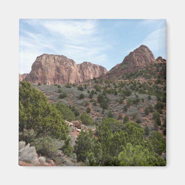 Kolob Canyons im Zion-Nationalpark Magnet (Vorne)