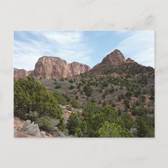Kolob Canyons im Zion-Nationalpark Postkarte (Vorderseite)