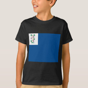 Kolonialprivateer-Flagge (Connecticutmarinefahne) T-Shirt