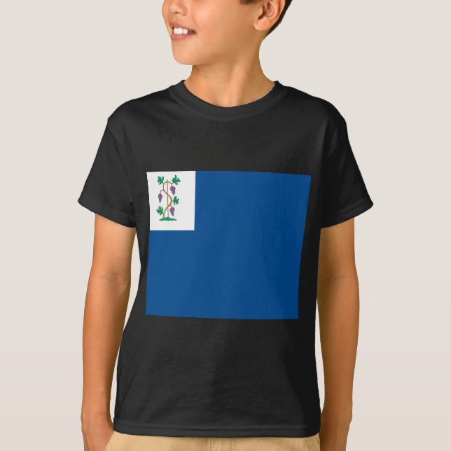 Kolonialprivateer-Flagge (Connecticutmarinefahne) T-Shirt (Vorderseite)