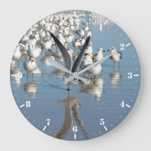 Kolonie der Möwen am Strand Große Wanduhr