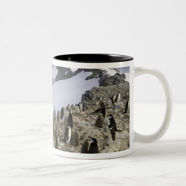 Kolonie von Chinstrap Pinguinen Zweifarbige Tasse (Rechts)