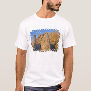 Kolossale Kopfstatuen von Göttern, die den T-Shirt