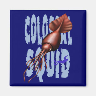 Kolossaler Tintenfisch-Magnet Magnet