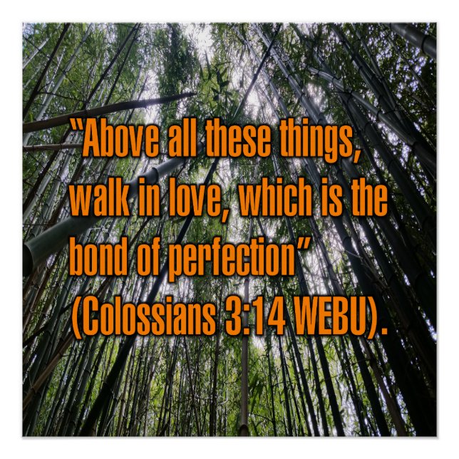 Kolosser 3:14 WEBU Poster (Vorderseite)