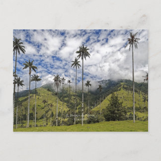 Kolumbien - El Bosque de Palmas, Postkarte