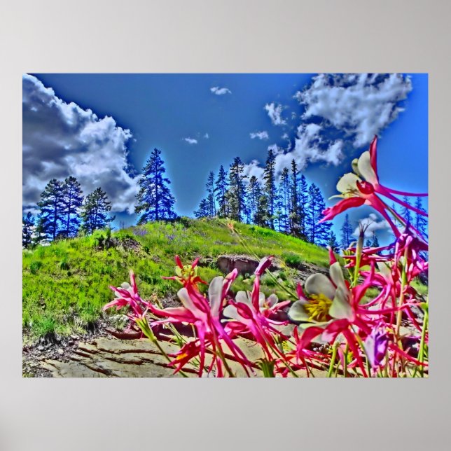 Kolumbus Blume landschaftliche Leinwand Poster (Vorne)