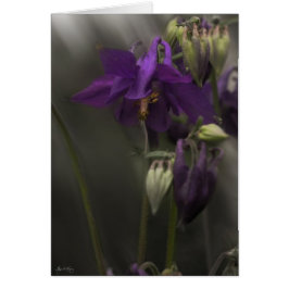 Kolumne im Sonnenlicht