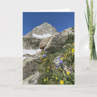 Kolumne unter der Paiute-Peak-Karte Karte