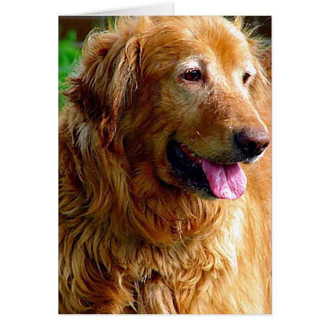 Kombination mit Ölfarbe (Vorne)