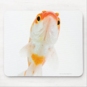 Komet/Komet-angebundener Goldfisch Mousepad