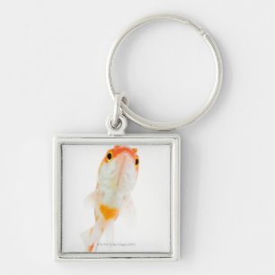 Komet/Komet-angebundener Goldfisch Schlüsselanhänger
