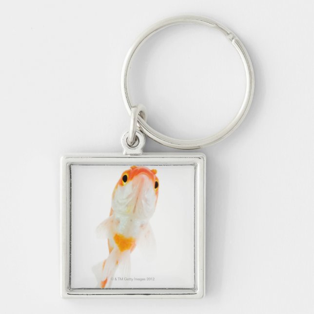 Komet/Komet-angebundener Goldfisch Schlüsselanhänger (Vorne)
