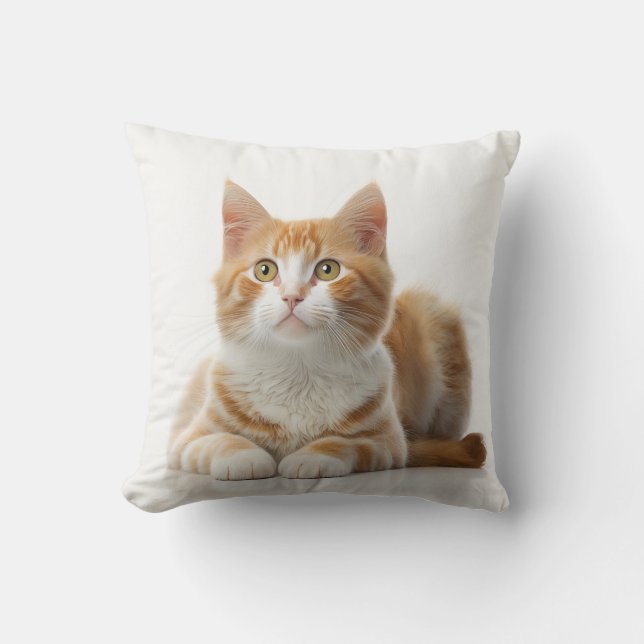 Komfort Gemütlichkeit: Das Lazy Ginger Katzenkisse Kissen (Vorderseite)