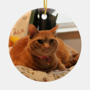 Komische Katze Keramikornament