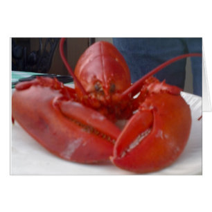 KOMISCHE LOBSTER JOKS SAGT ABER "GLÜCKLICH BIRTHT