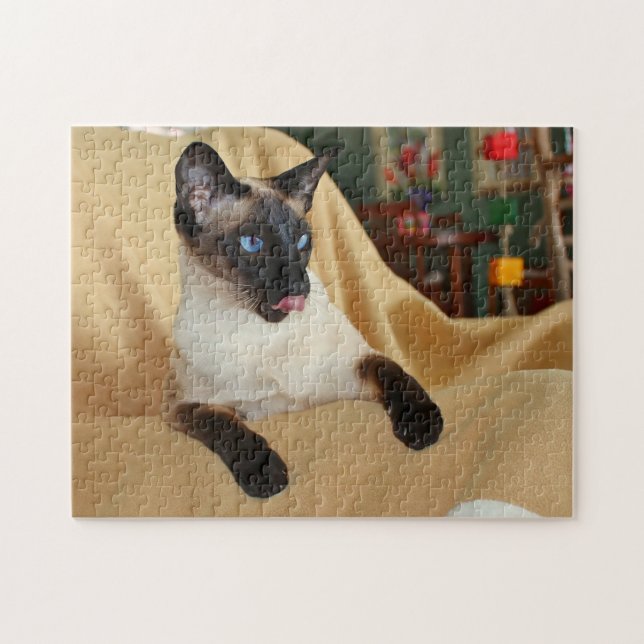 Komischer die Siegel-Punkt-siamesische Katze, die (Horizontal)