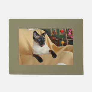 Komischer die Siegel-Punkt-siamesische Katze, die Fußmatte