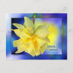 Komm her, Shine! Postkarte
