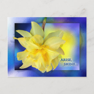 Komm her, Shine! Postkarte