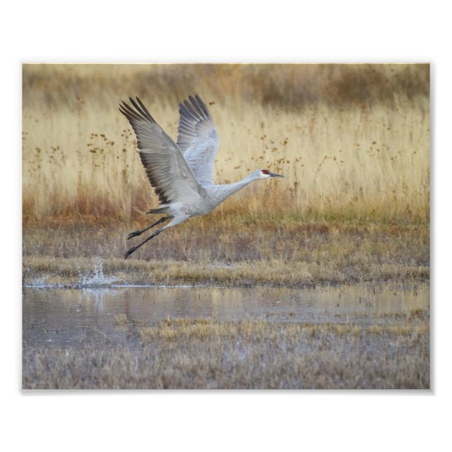 Komm mit mir. fotodruck (Vorne)