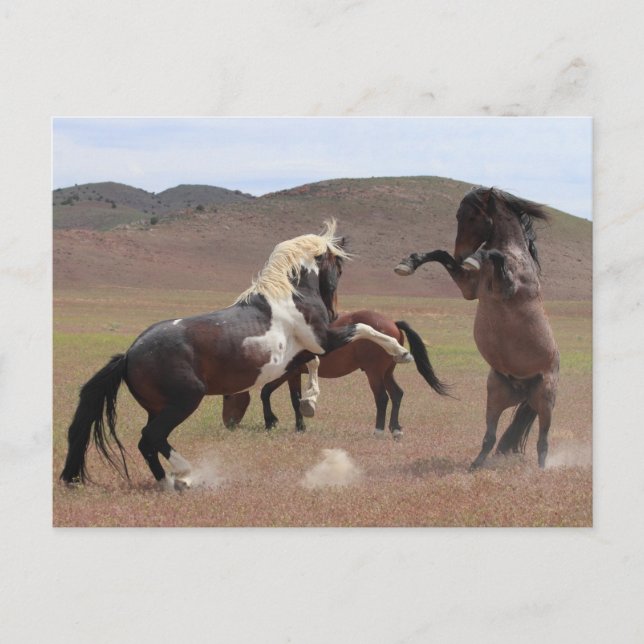 Komm und hol dir ein paar postkarte (Vorderseite)