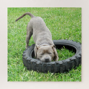 Komm und spiele Staffy, Jigsaw Puzzle