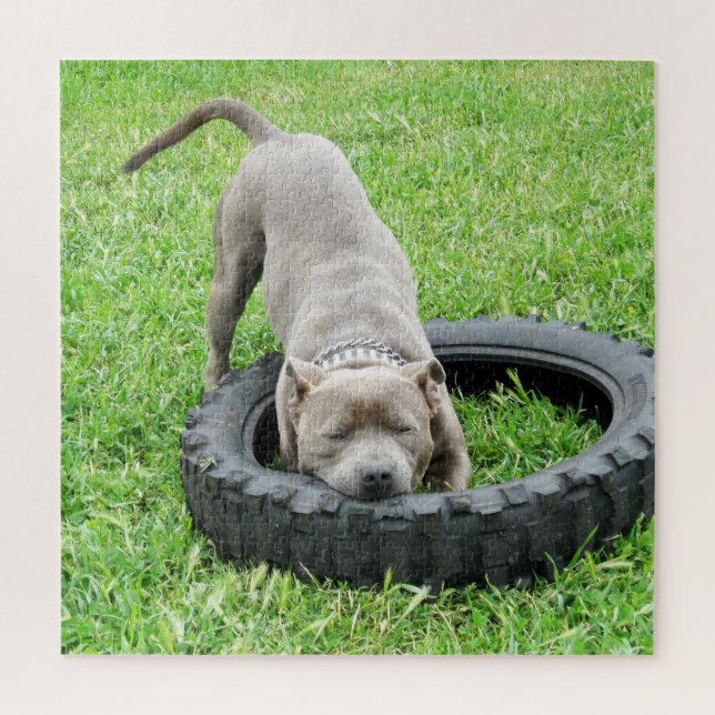 Komm und spiele Staffy, Jigsaw Puzzle (Vertikal)