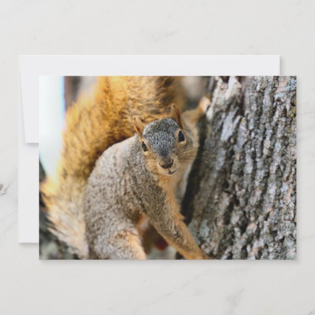 Kommen Sie (Vorderseite)