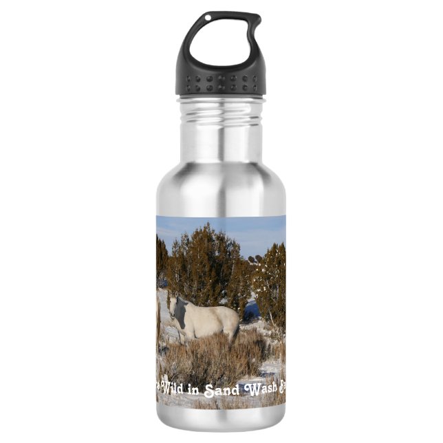 Kommen Sie auf die Wildnis Edelstahlflasche (Vorderseite)