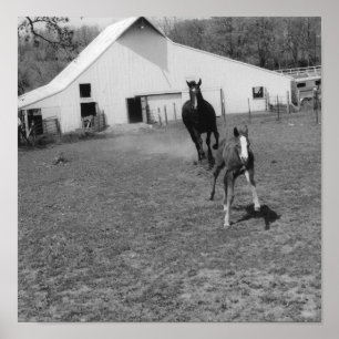 Kommen Sie bei Ya Poster